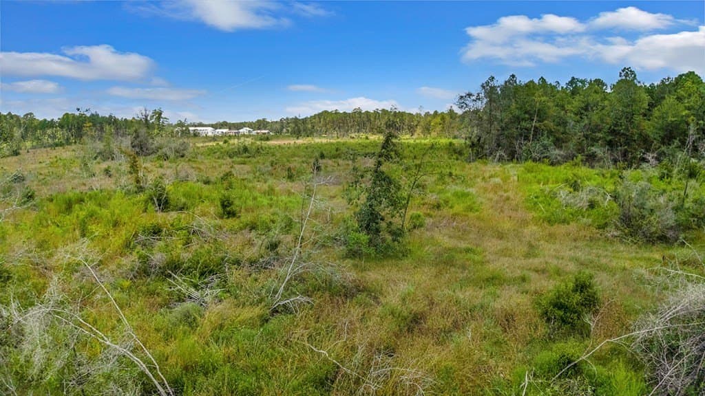 3 acres in Texas County - photo 14