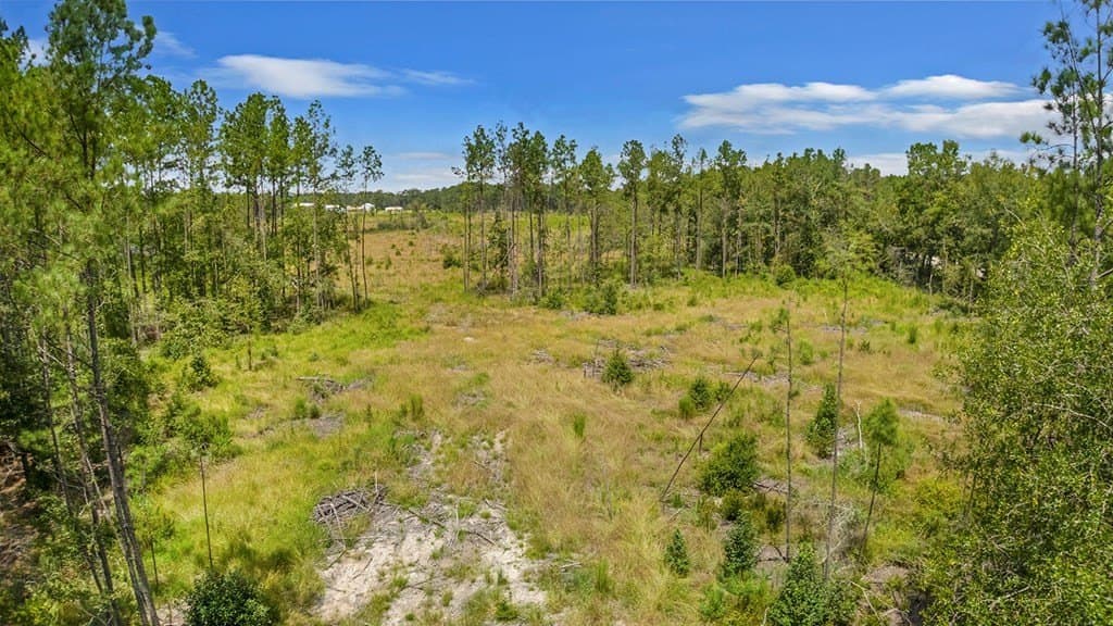 3 acres in Texas County - photo 10