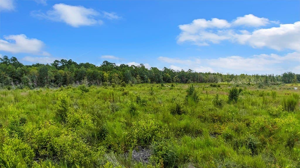 3 acres in Texas County - photo 4