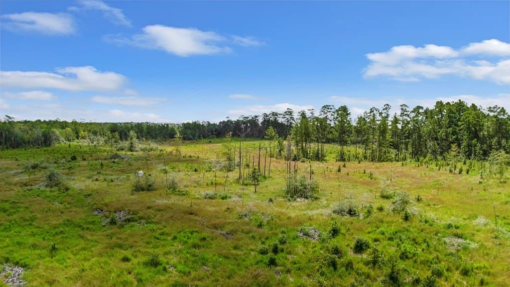 3 acres in Texas County - photo 6