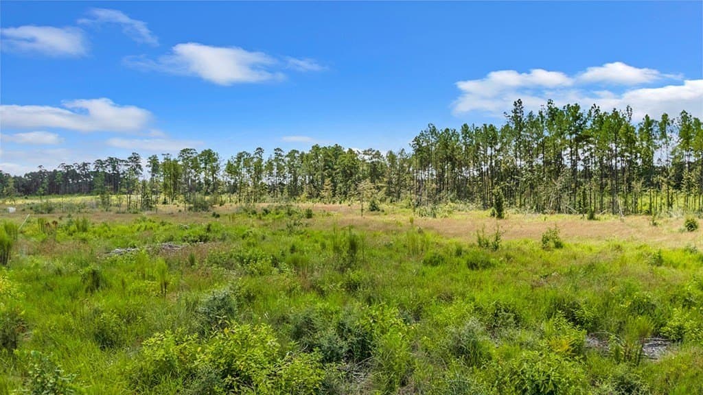 3 acres in Texas County - photo 5