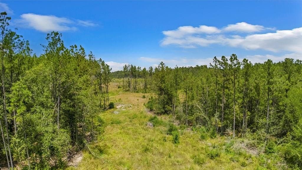 3 acres in Texas County
