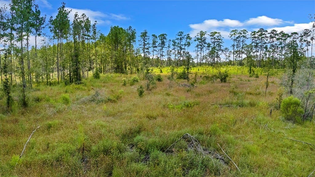 3 acres in Texas County - photo 12