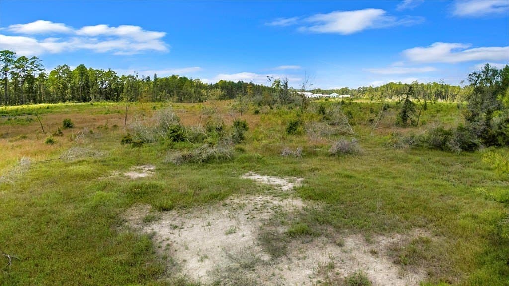 3 acres in Texas County - photo 13