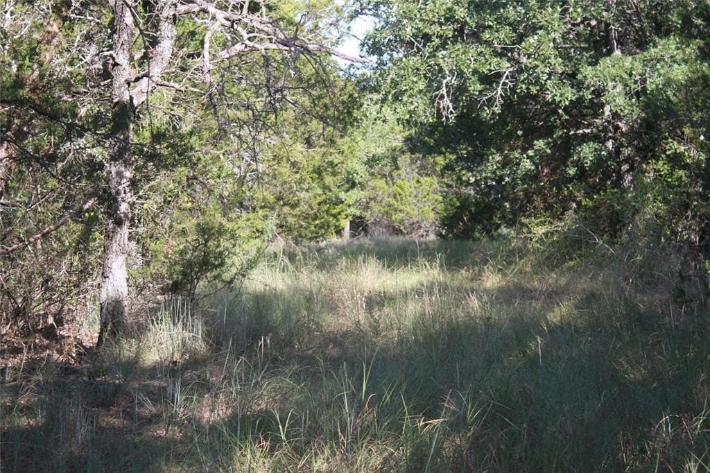84 acres in Bosque County featured view