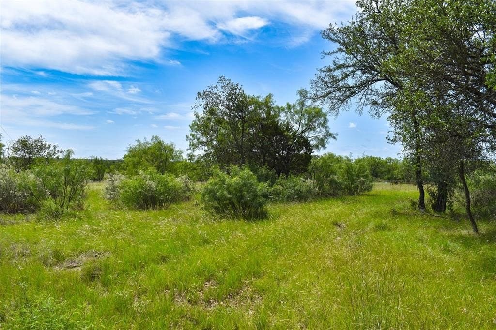 50 acres in McCulloch County gallery image 4