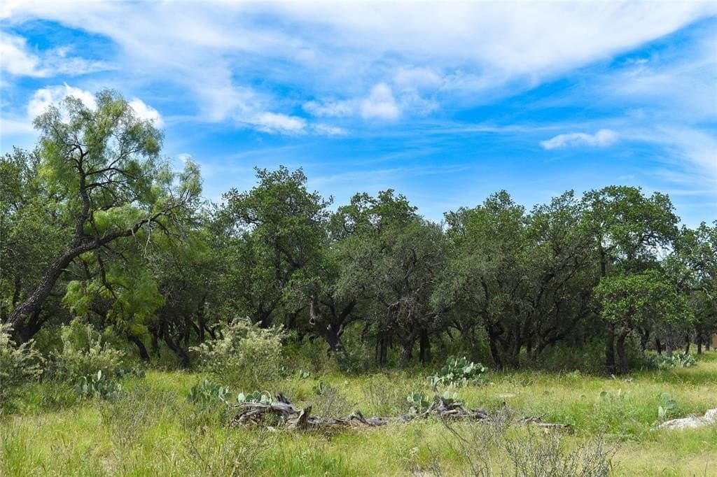 50 acres in McCulloch County featured view