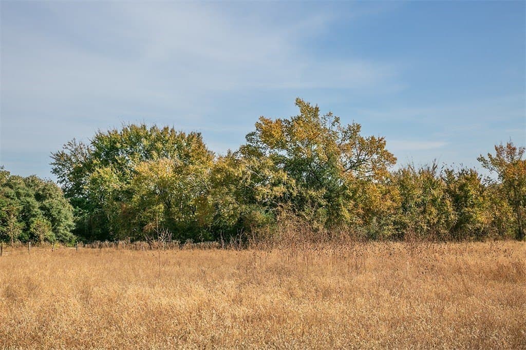 55.68 acres in Lee County gallery image 3