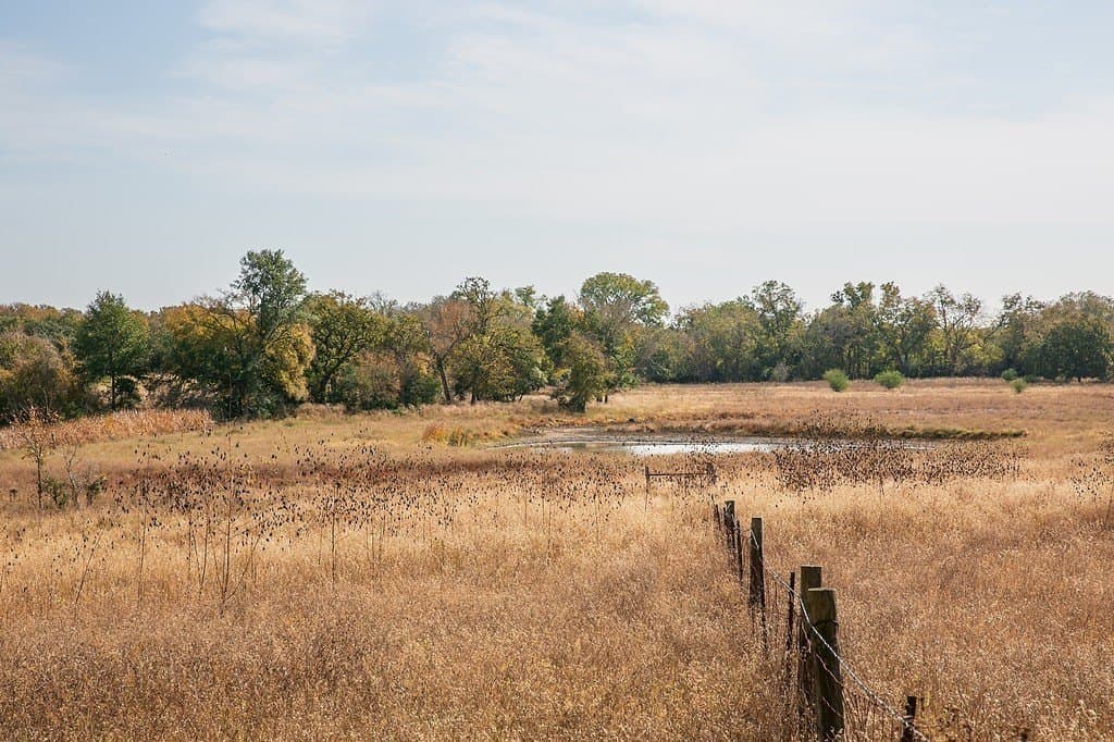 55.68 acres in Lee County gallery image 2