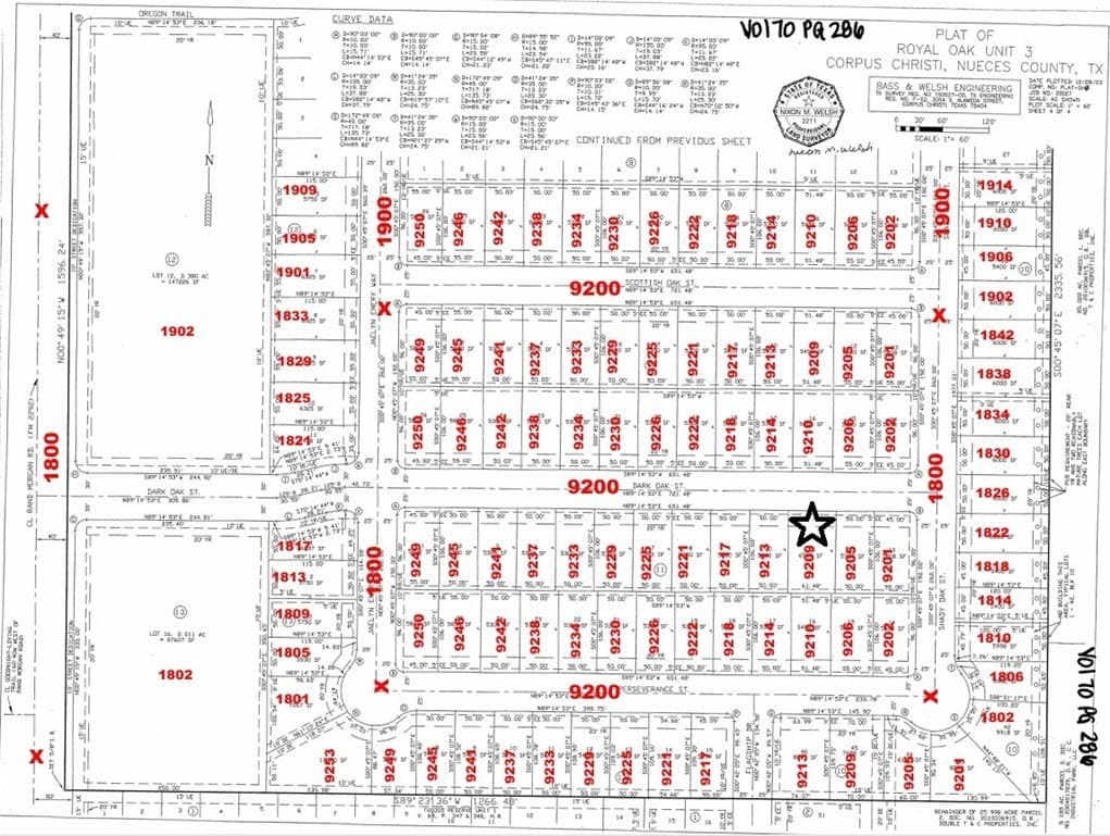 0.15 acres in Nueces County gallery image 2
