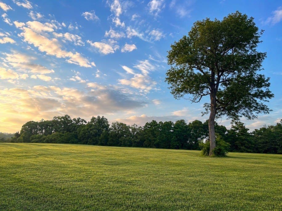 186.14 acres in Texas County - photo 5