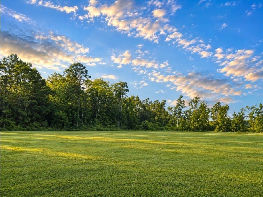 186.14 acres in Texas County - photo 9