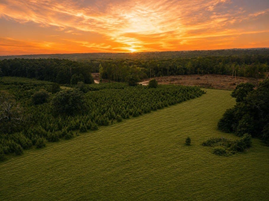 186.14 acres in Texas County - photo 14