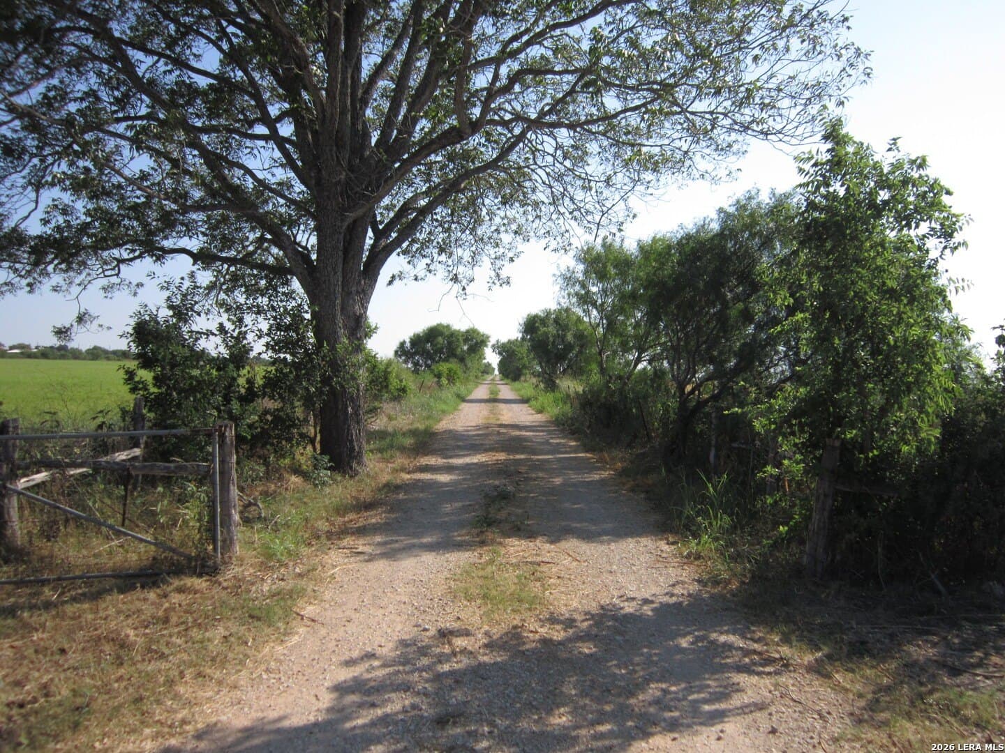 125 acres in Bexar County featured view