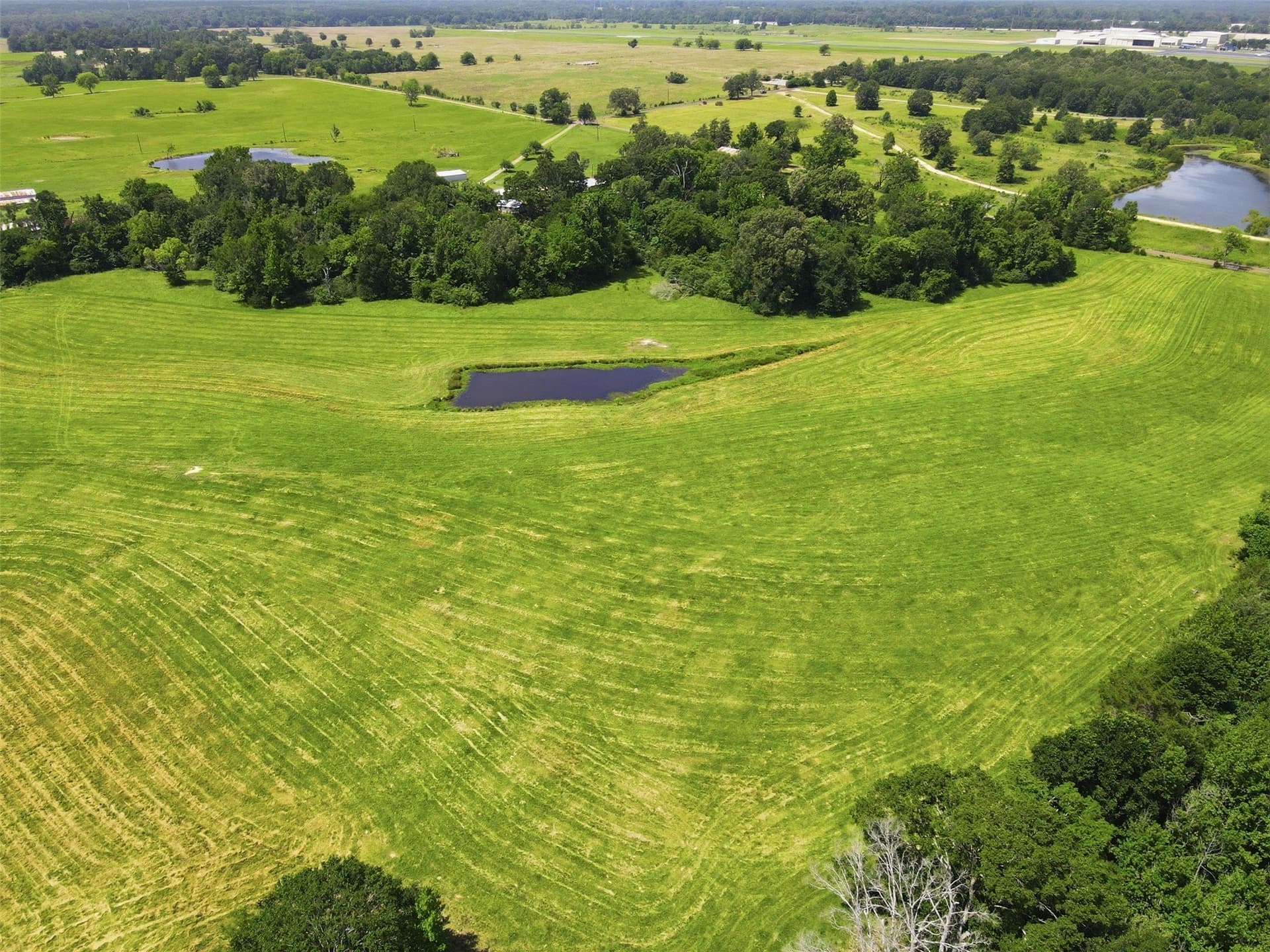 76.94 acres in Titus County - photo 19