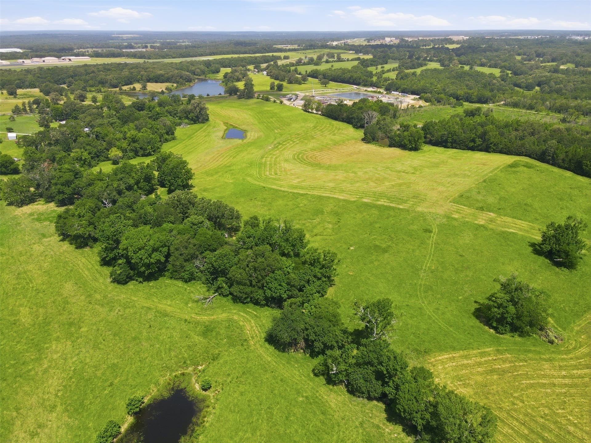 76.94 acres in Titus County - photo 12