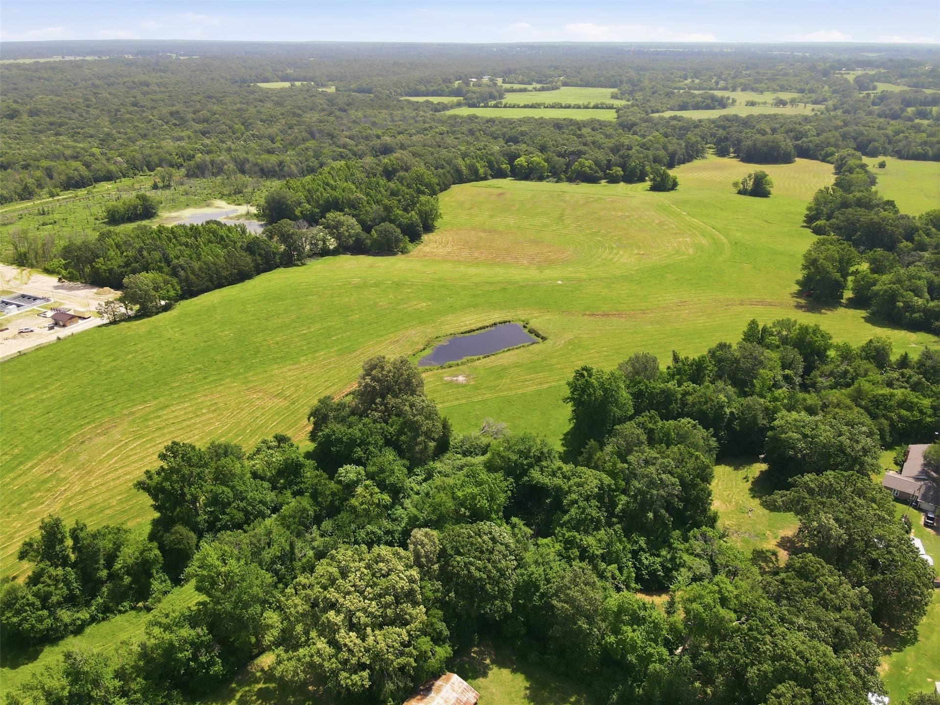 76.94 acres in Titus County - photo 6