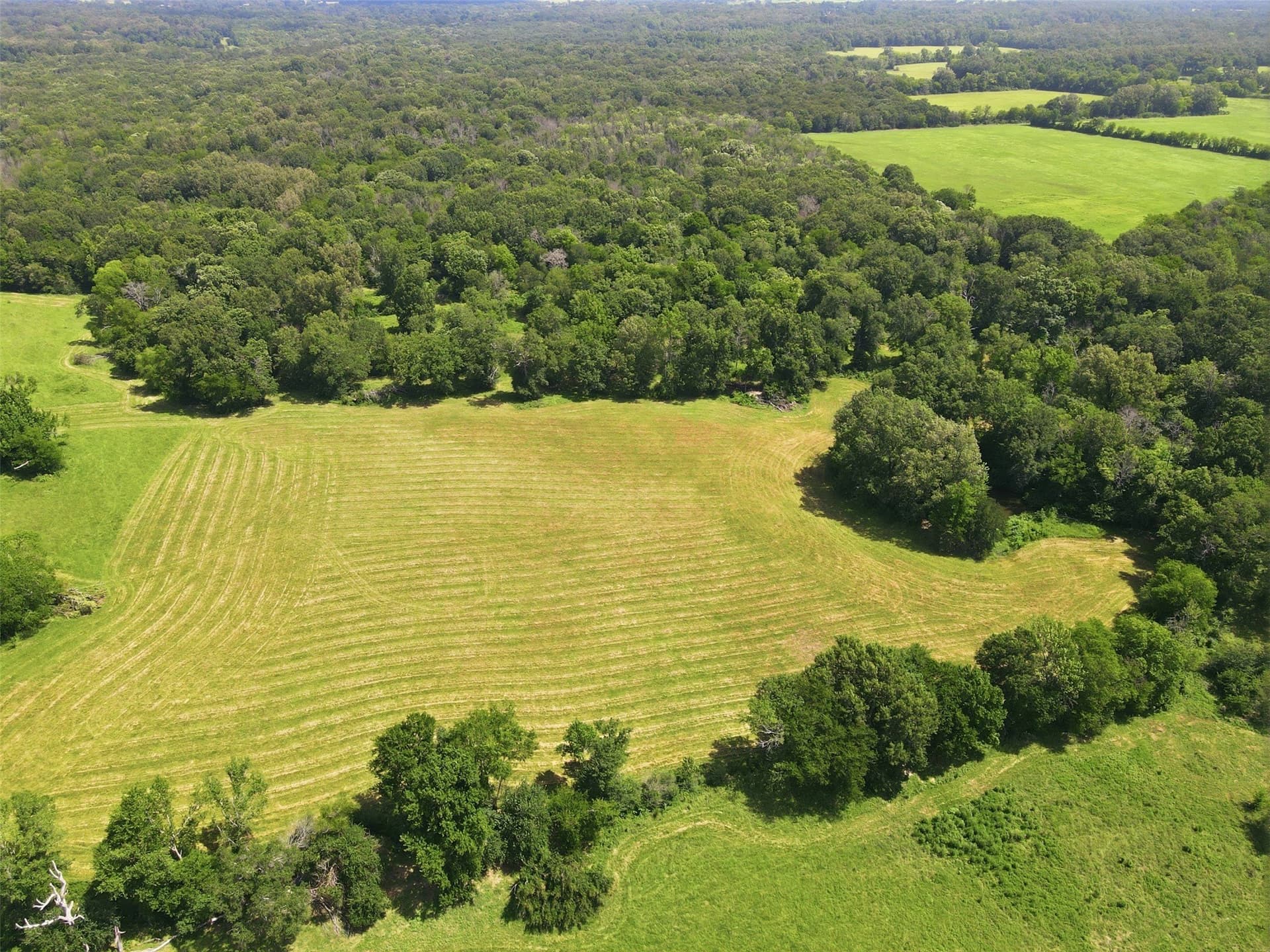 76.94 acres in Titus County - photo 11