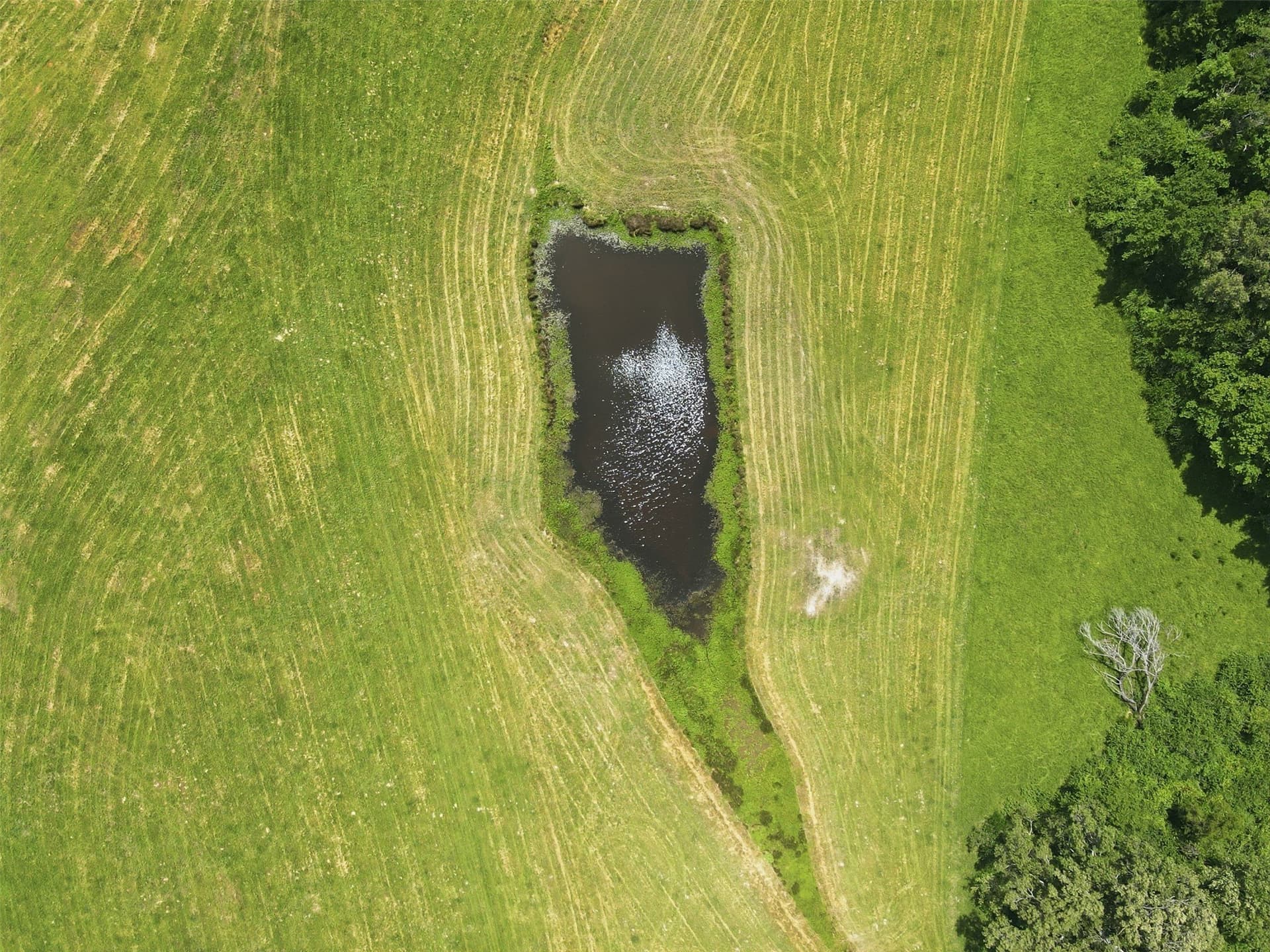 76.94 acres in Titus County - photo 26