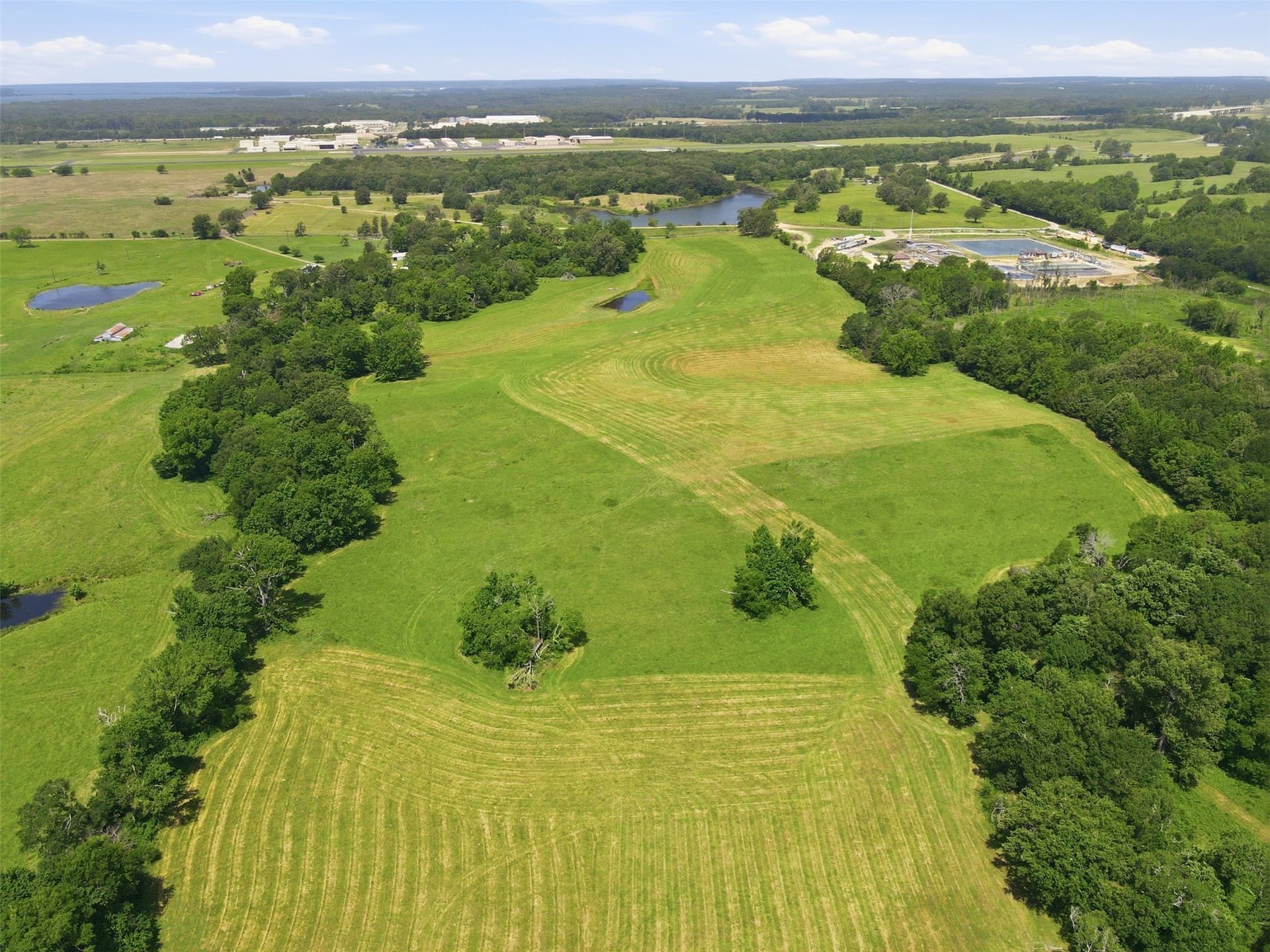 76.94 acres in Titus County - photo 13
