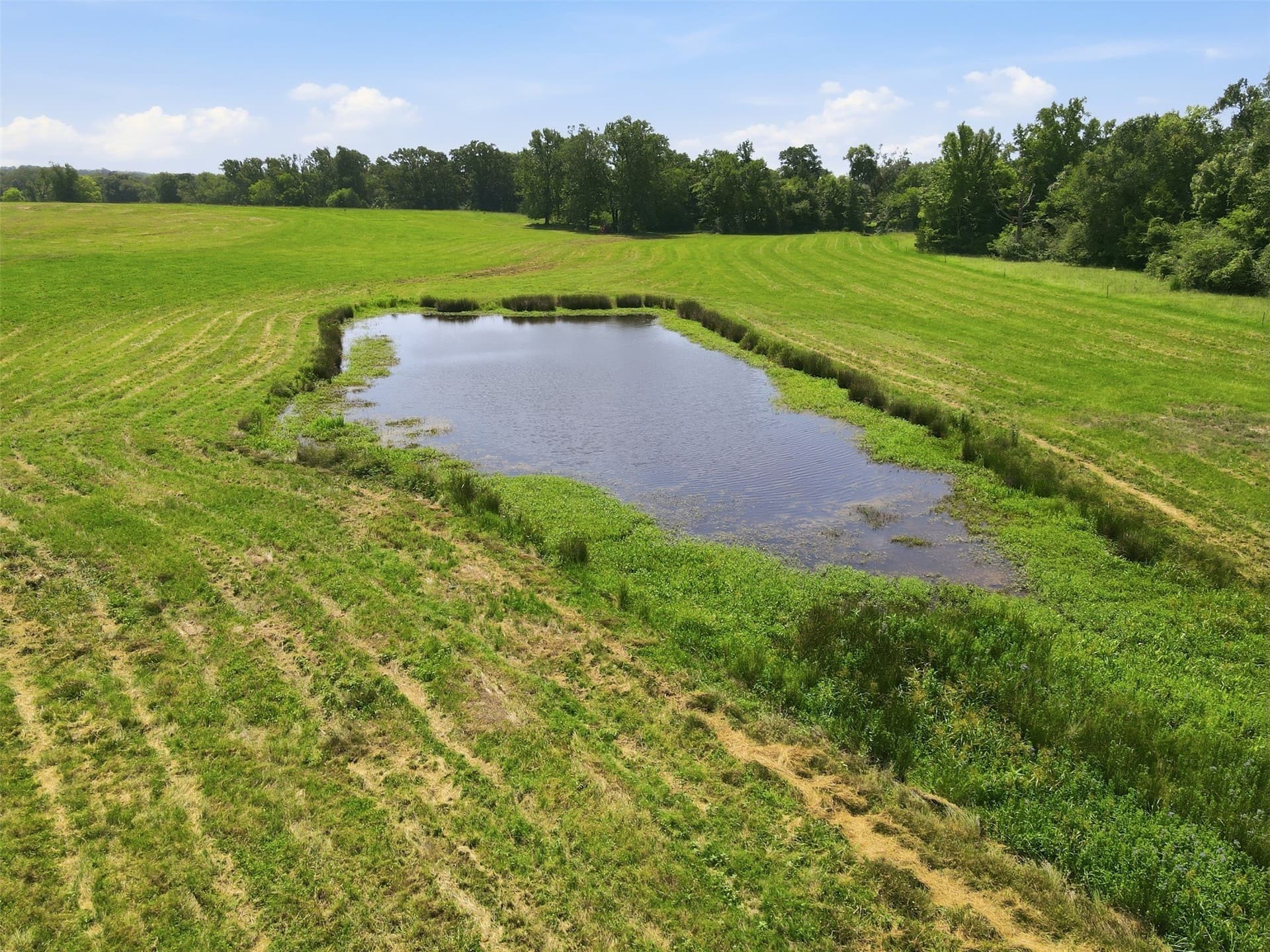 76.94 acres in Titus County - photo 27
