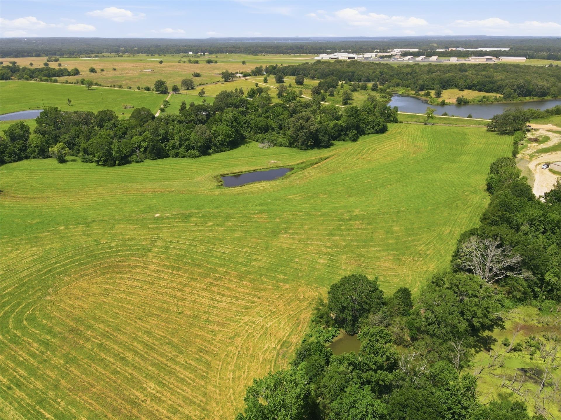 76.94 acres in Titus County - photo 17