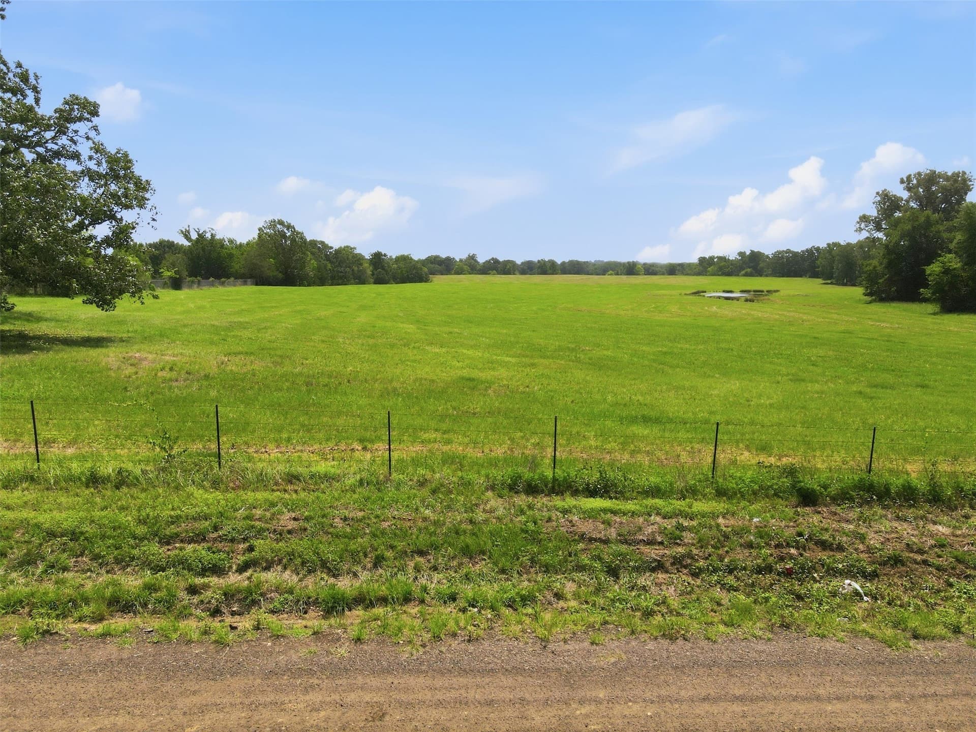 76.94 acres in Titus County - photo 21
