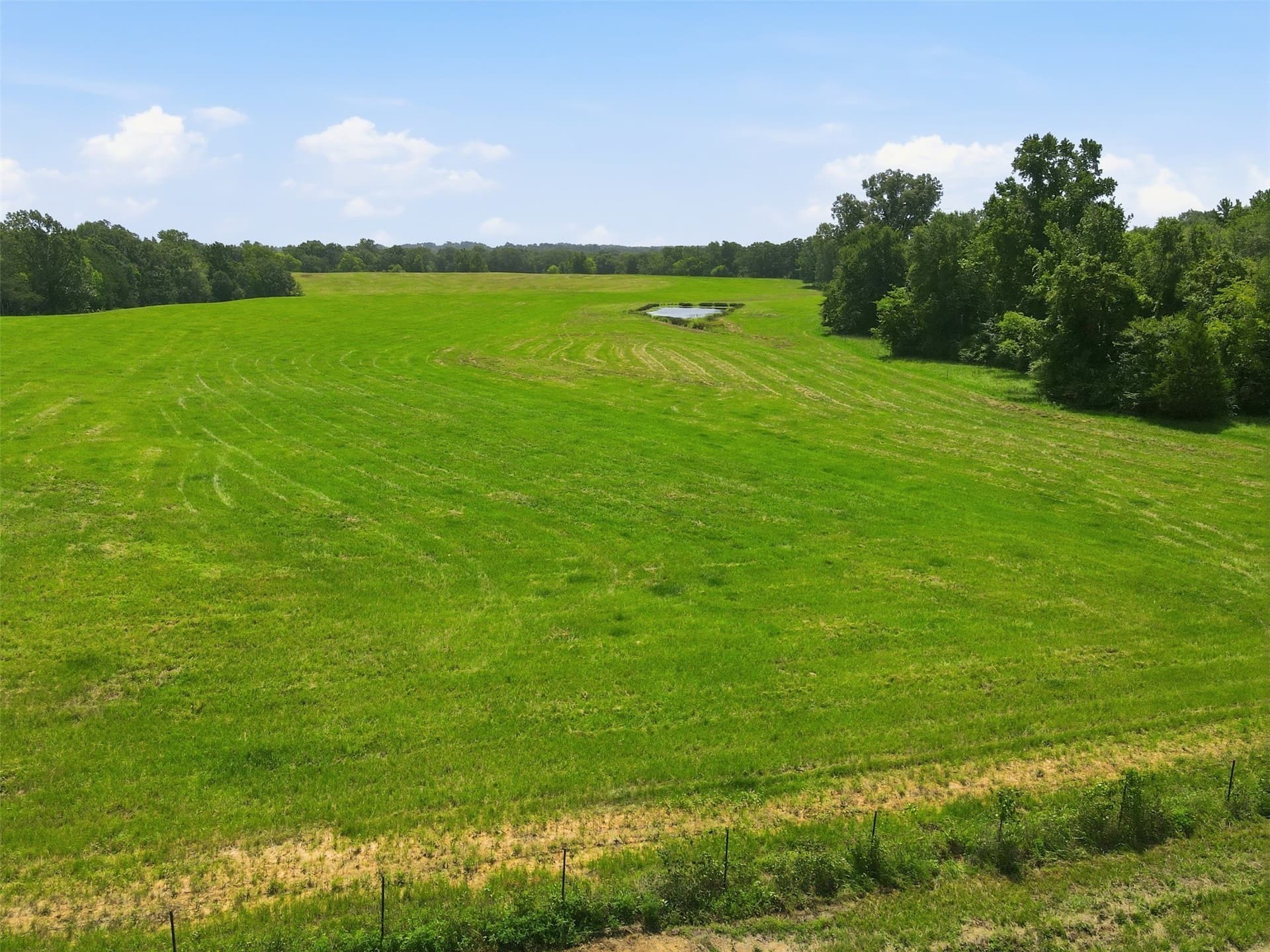 76.94 acres in Titus County - photo 23