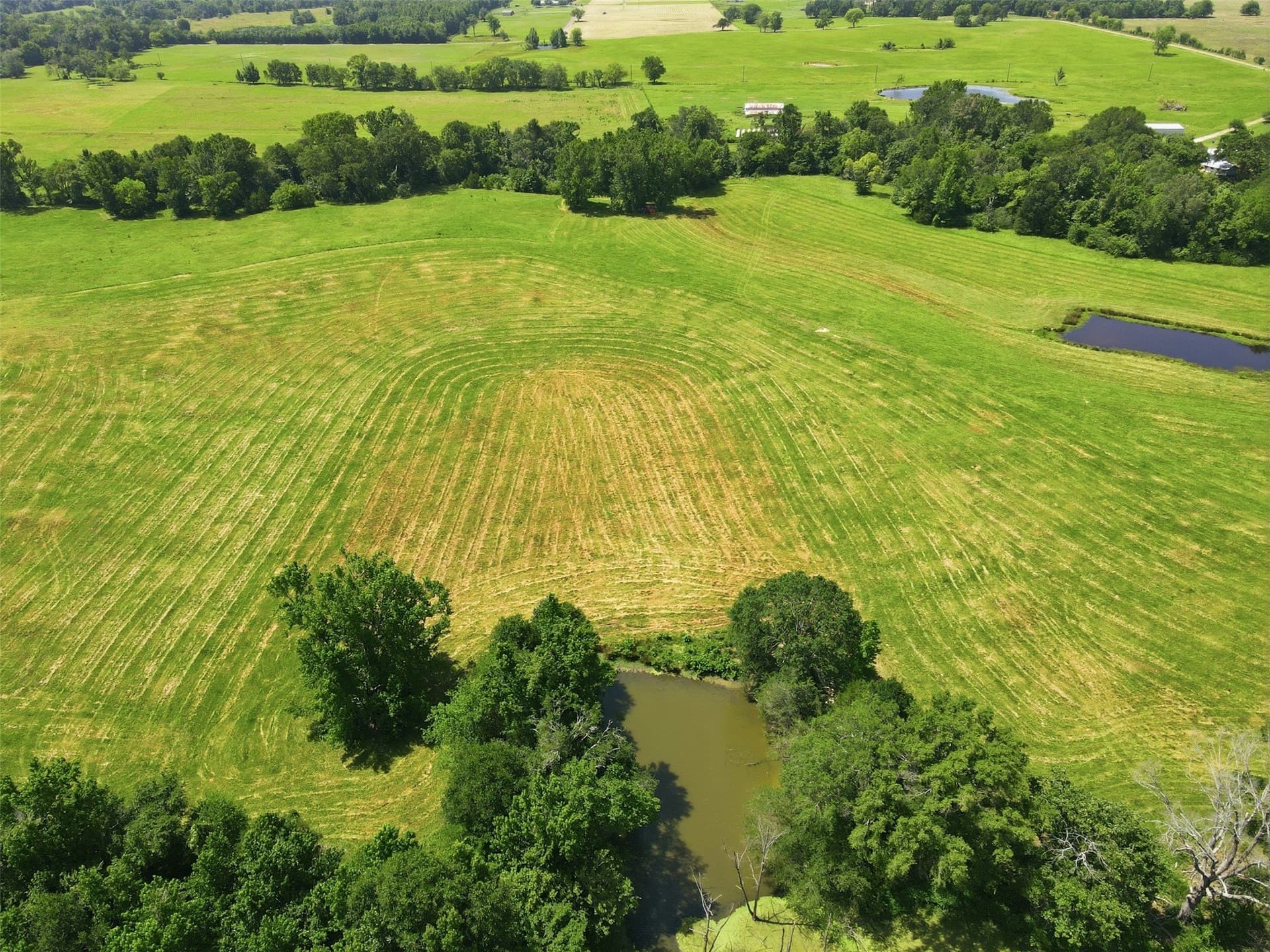 76.94 acres in Titus County - photo 18