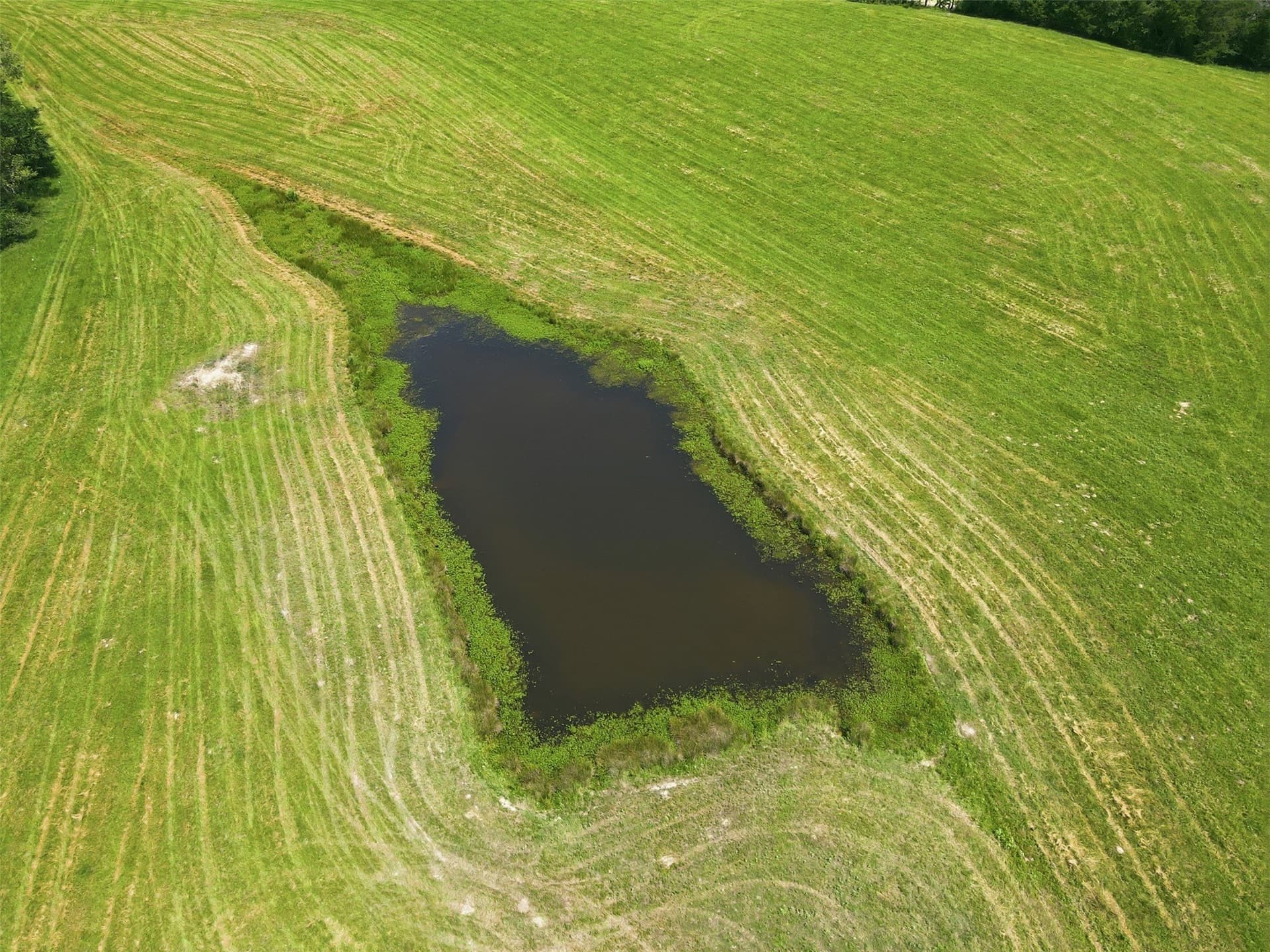 76.94 acres in Titus County - photo 3