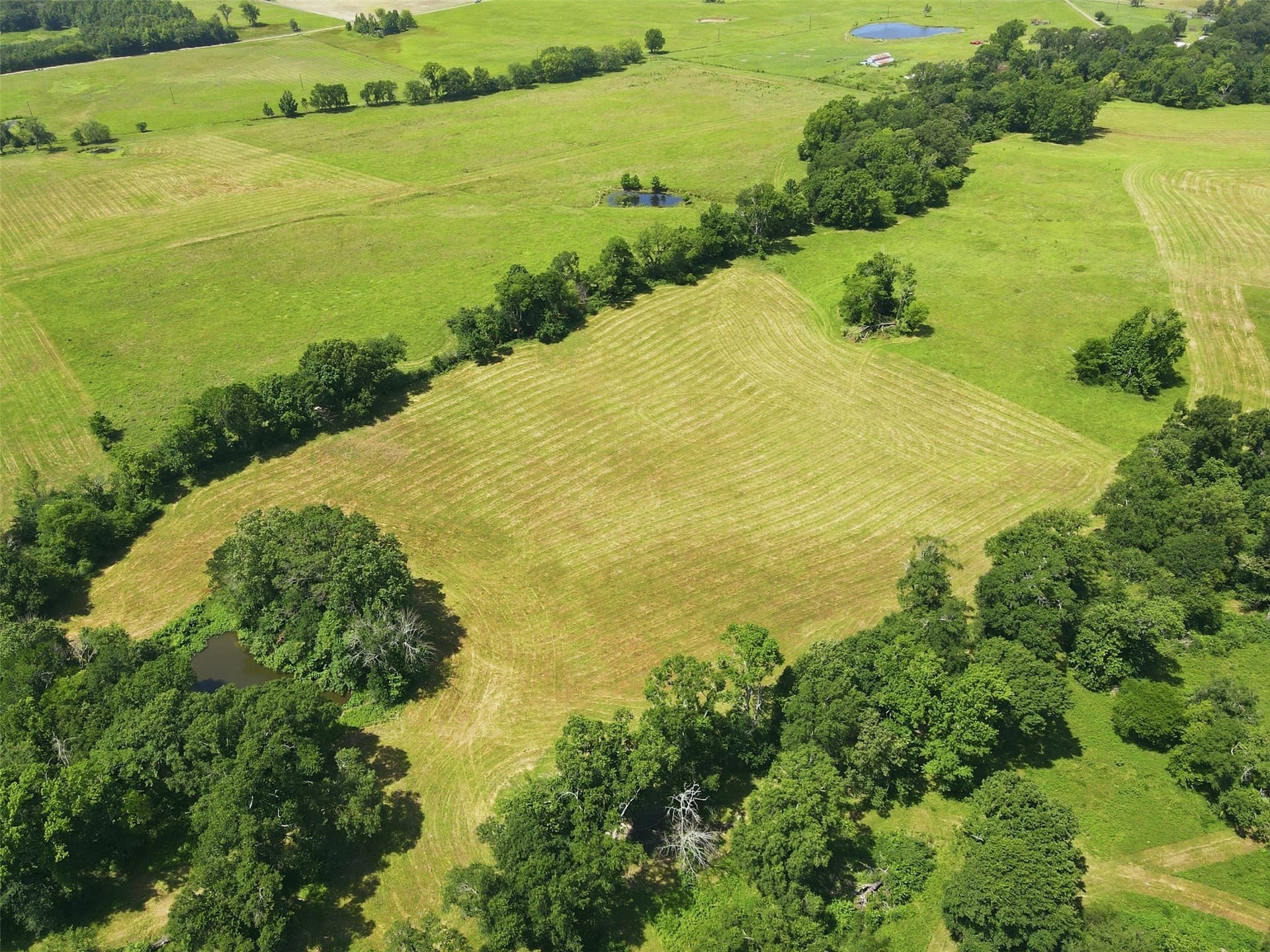 76.94 acres in Titus County - photo 15