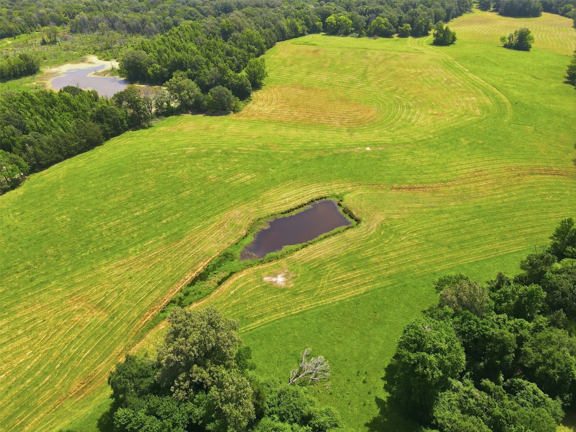76.94 acres in Titus County - photo 7