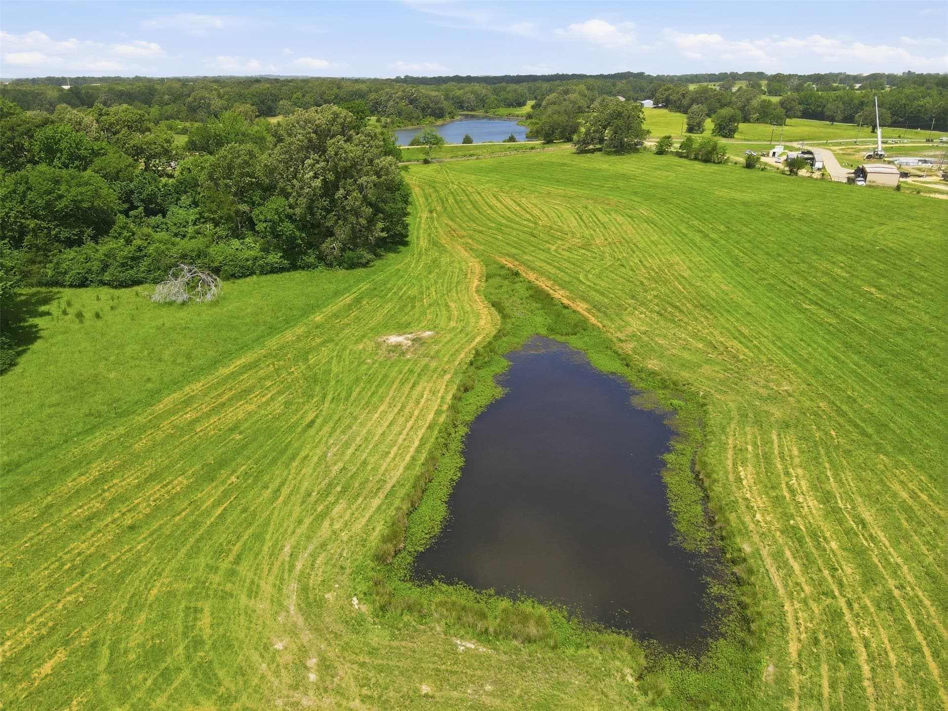 76.94 acres in Titus County