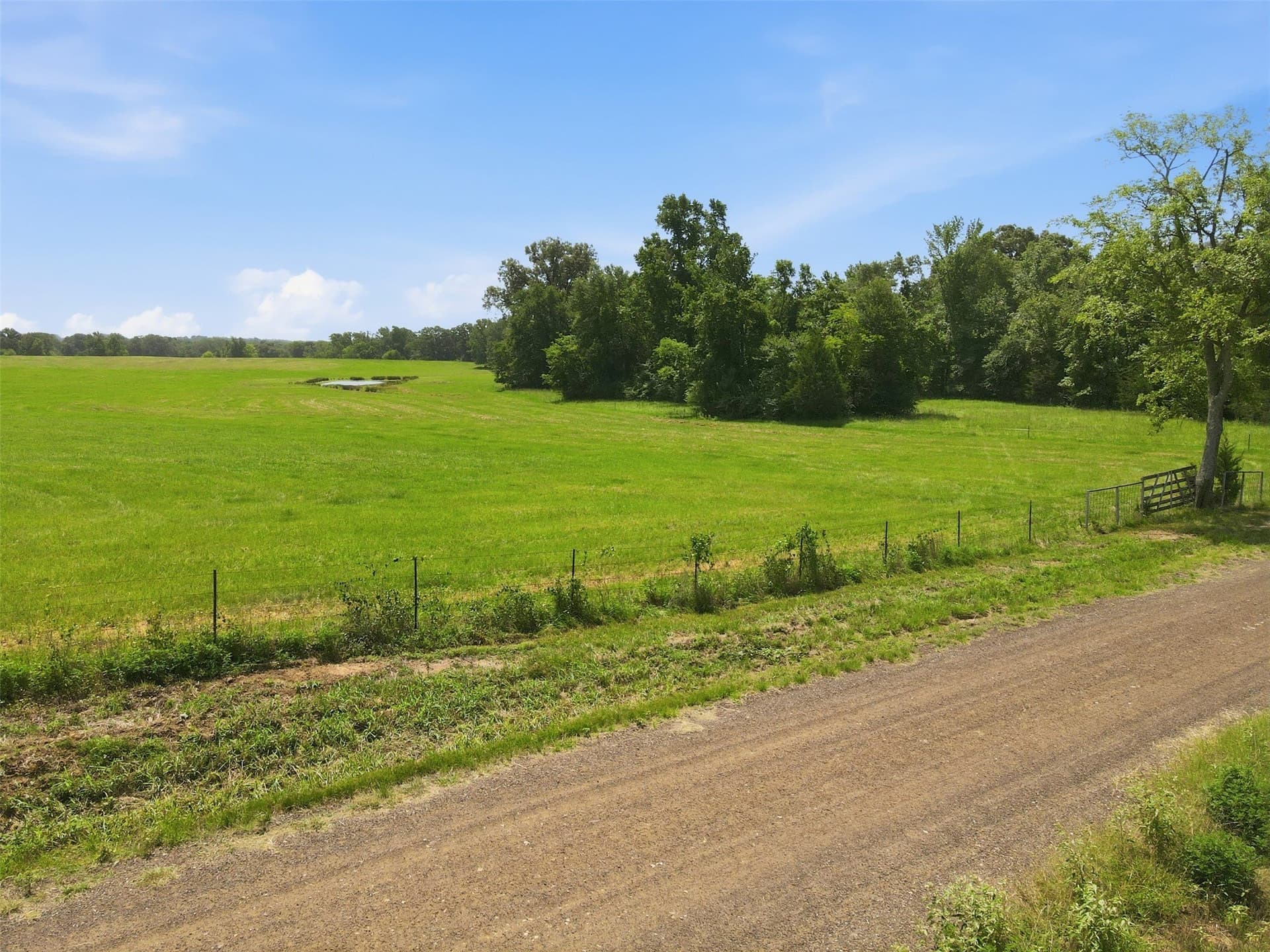 76.94 acres in Titus County - photo 22