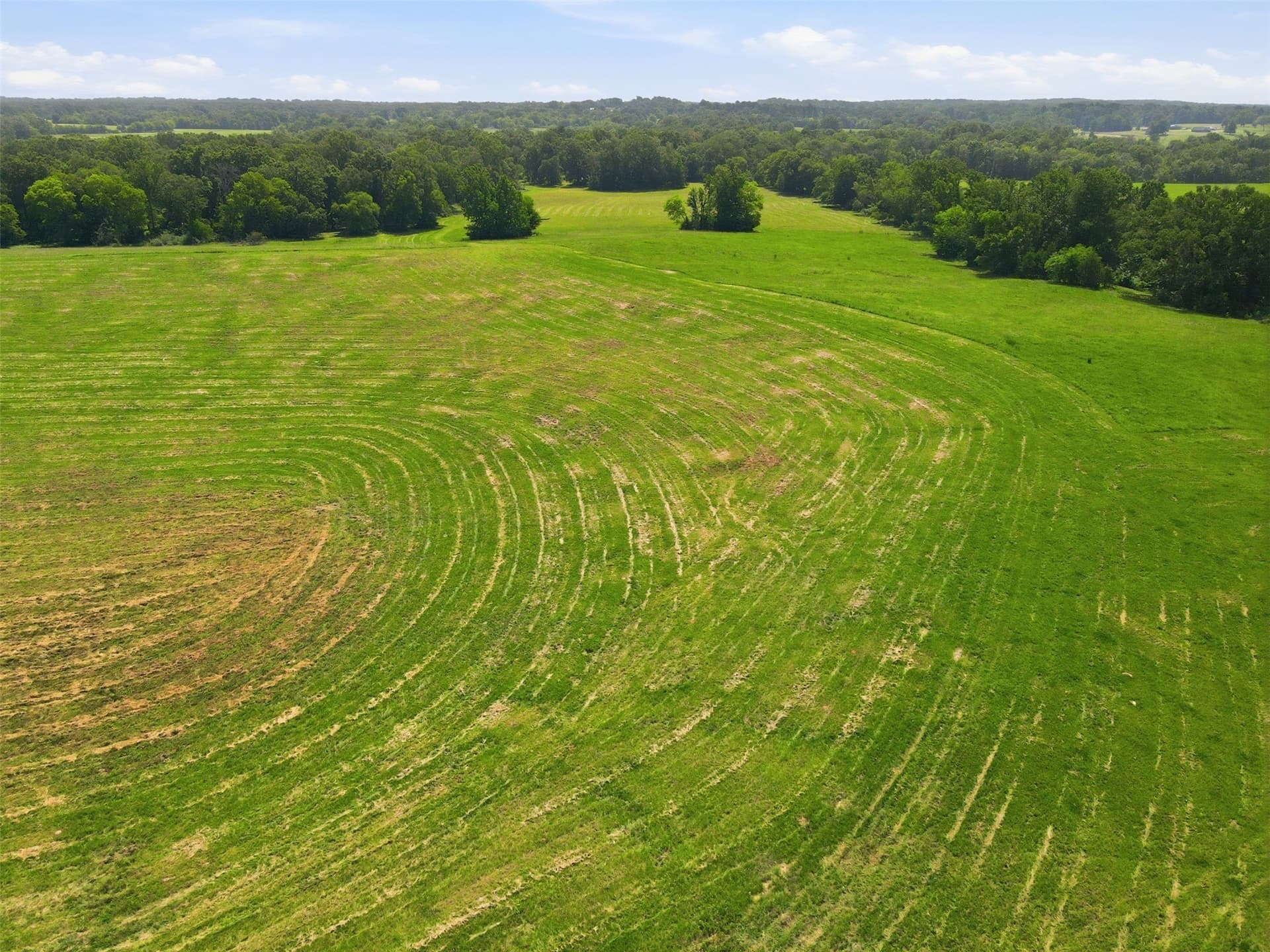76.94 acres in Titus County - photo 8