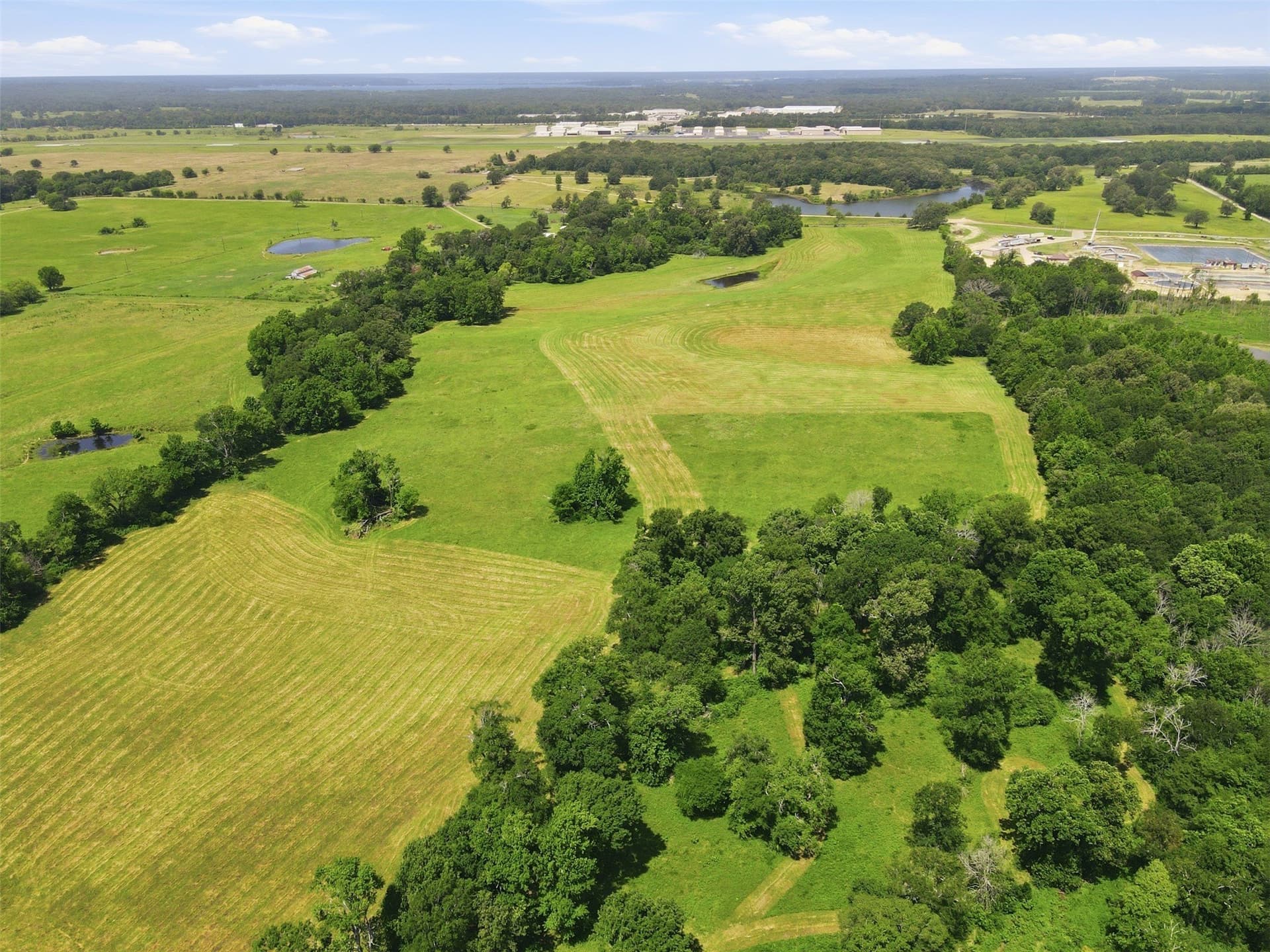 76.94 acres in Titus County - photo 14