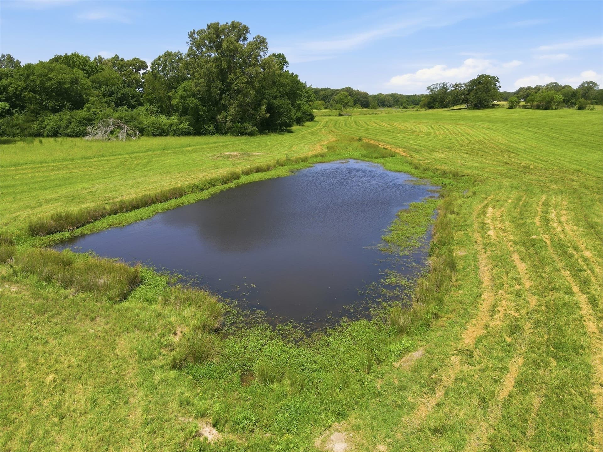 76.94 acres in Titus County - photo 28