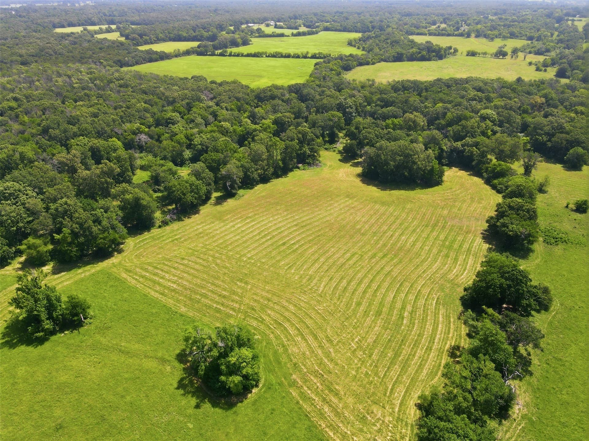 76.94 acres in Titus County - photo 10