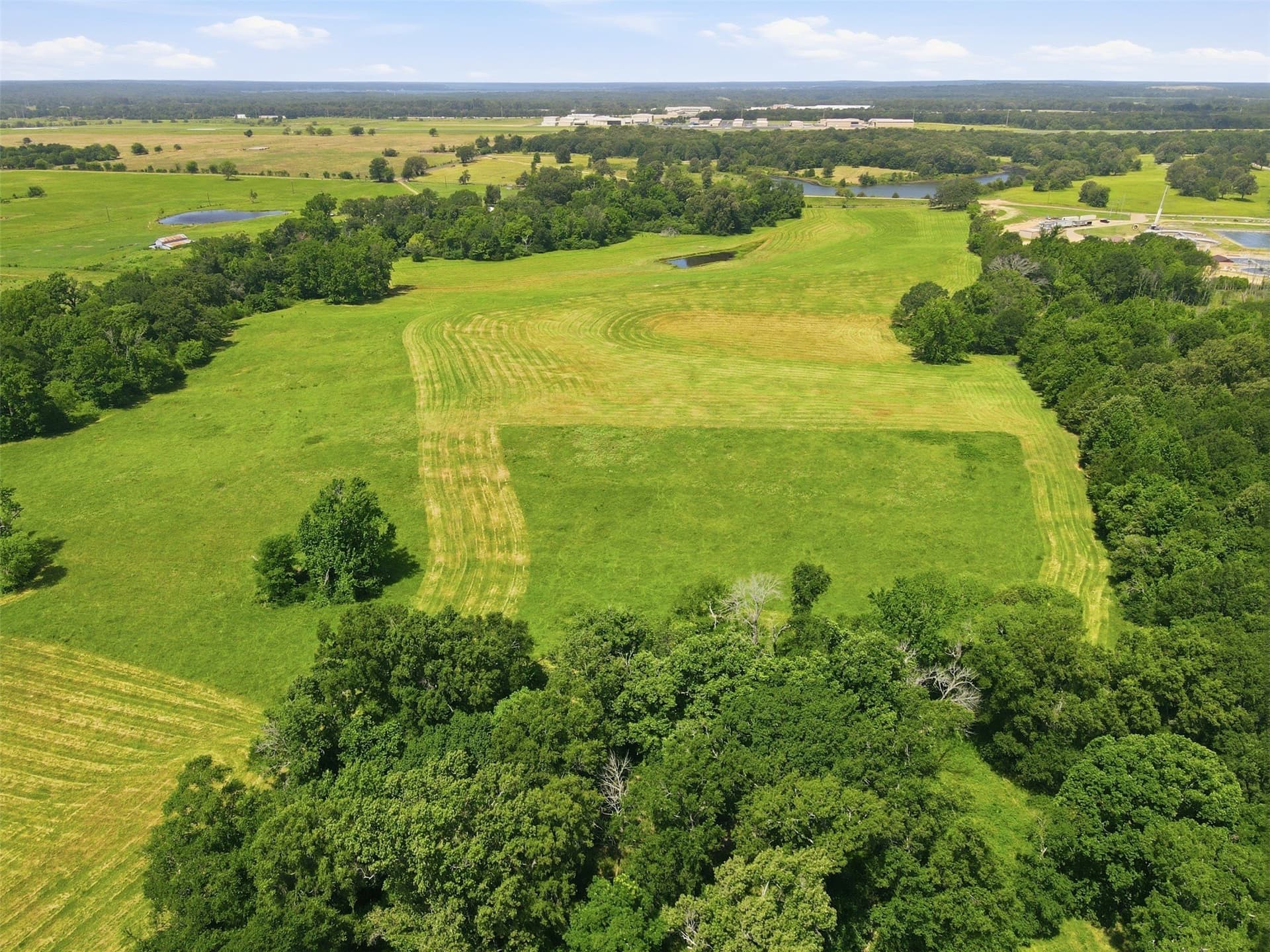 76.94 acres in Titus County - photo 16