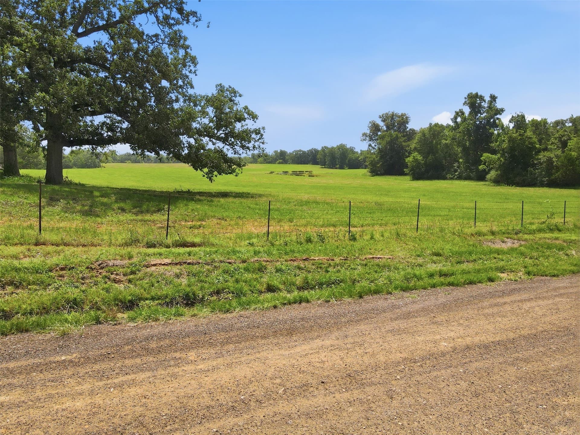 76.94 acres in Titus County - photo 20