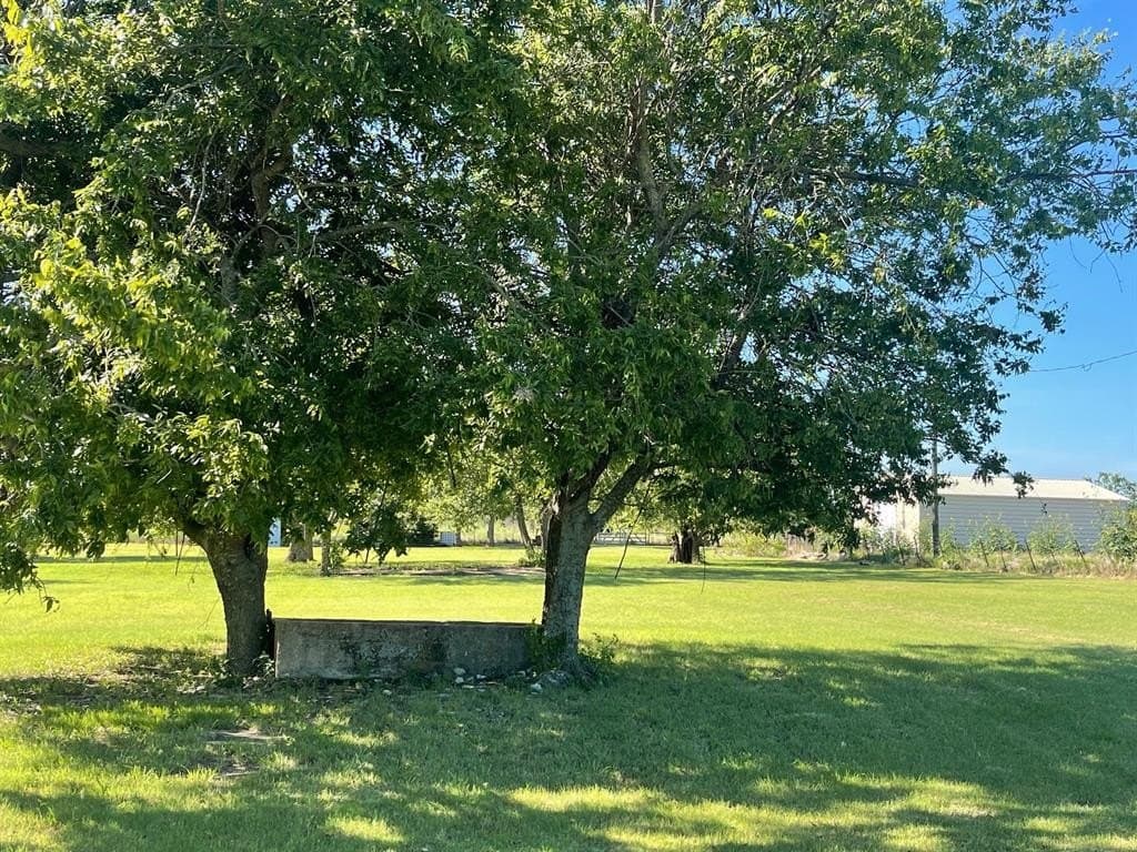 43.9 acres in Bosque County gallery image 4