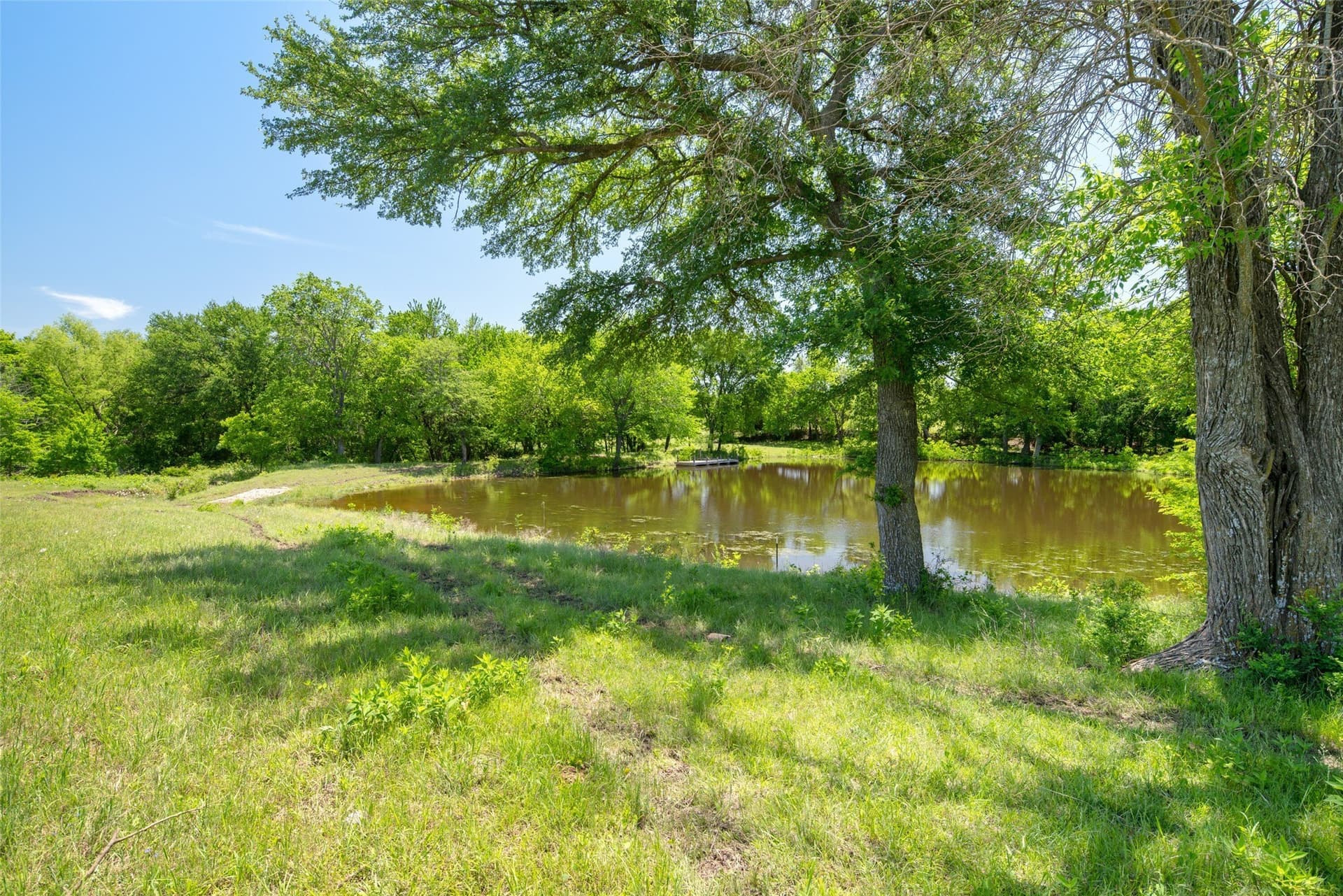 2.2 acres in Collin County - photo 8