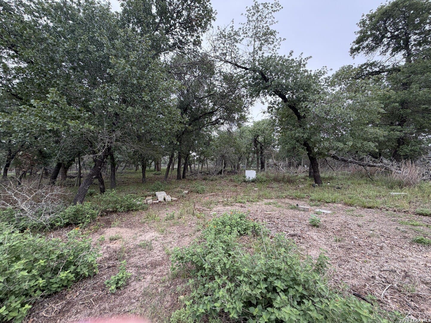 2.02 acres in Wilson County - photo 7