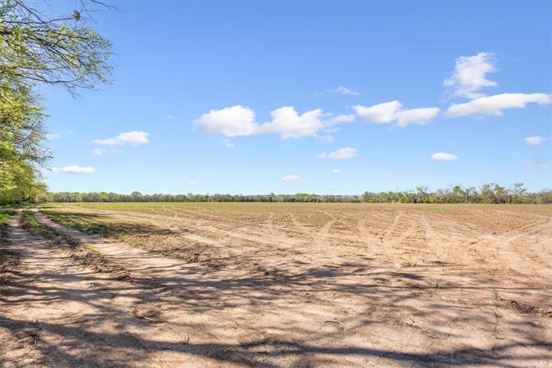 54.11 acres in Hill County - photo 8