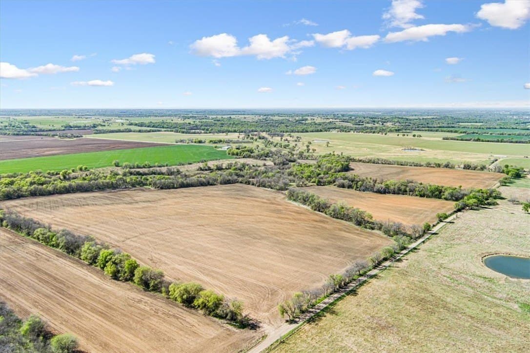 54.11 acres in Hill County - photo 6