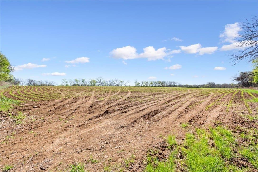 54.11 acres in Hill County - photo 9
