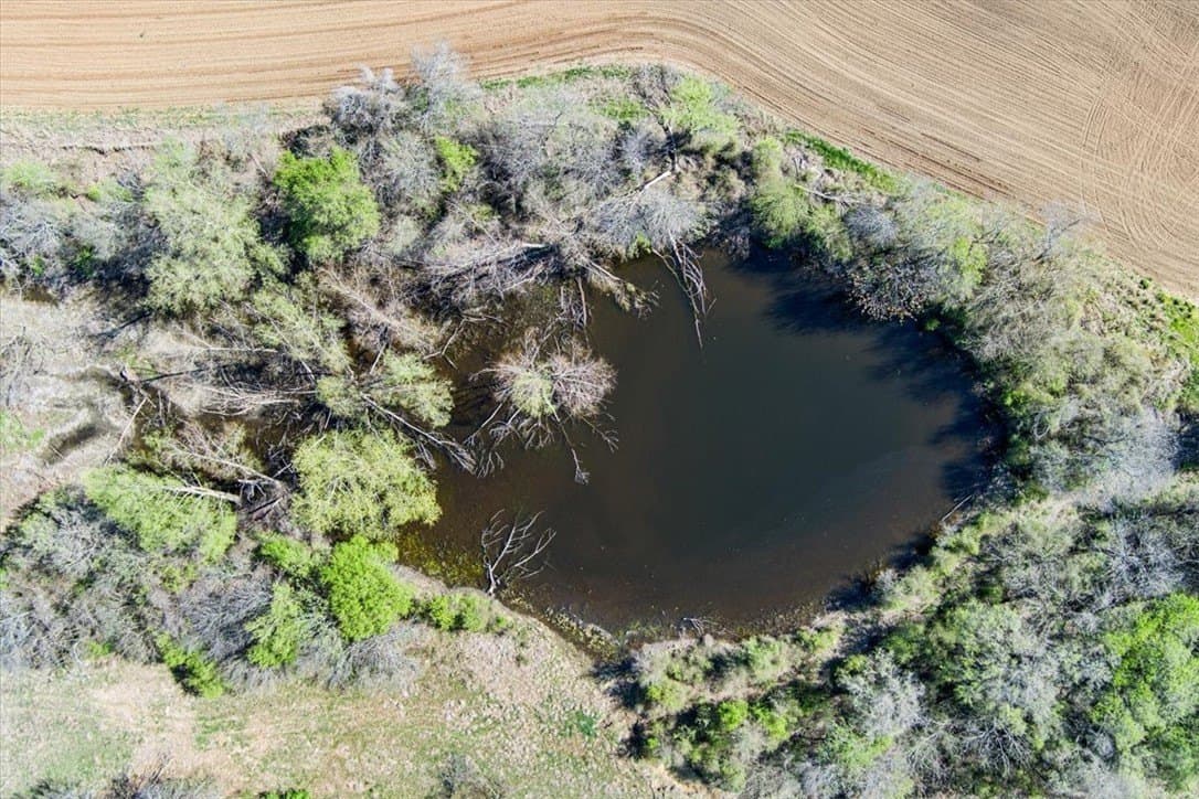 54.11 acres in Hill County - photo 15