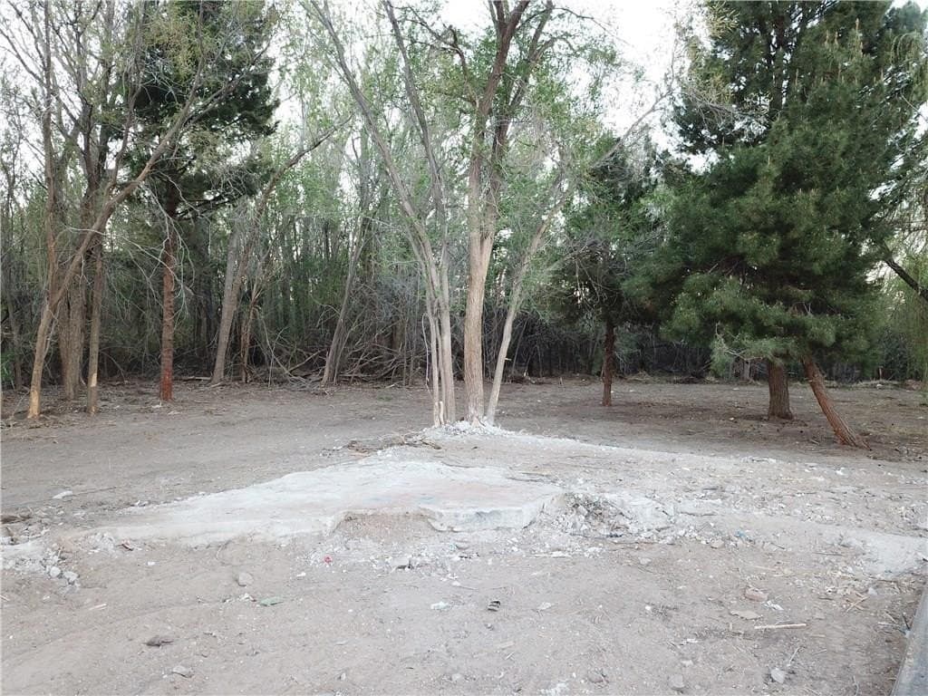 3 acres in El Paso County - photo 7