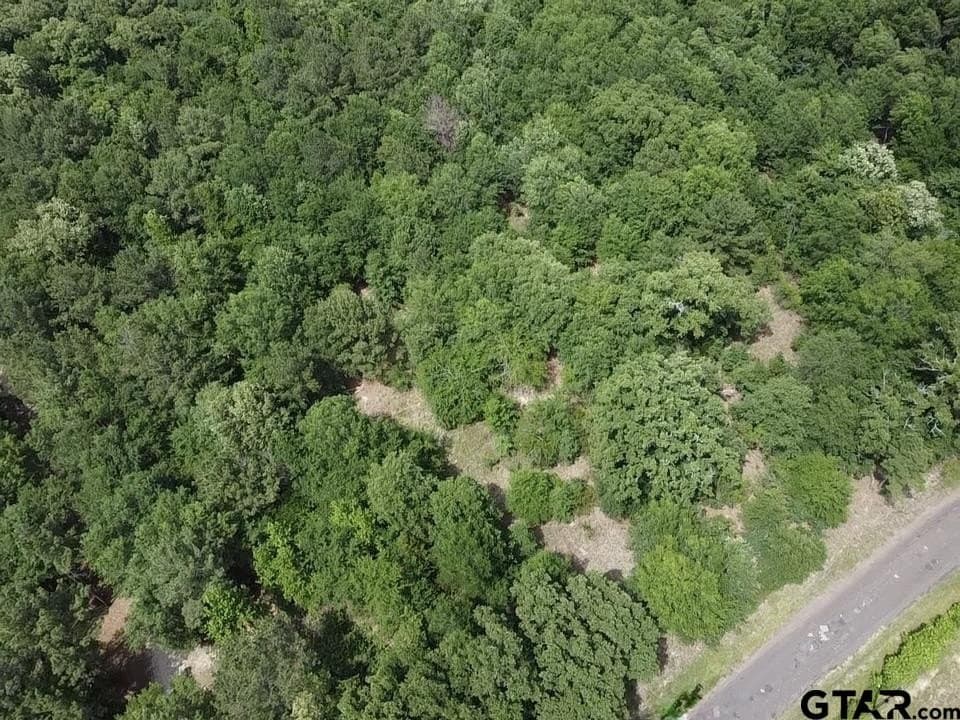 2.01 acres in Wood County - photo 7