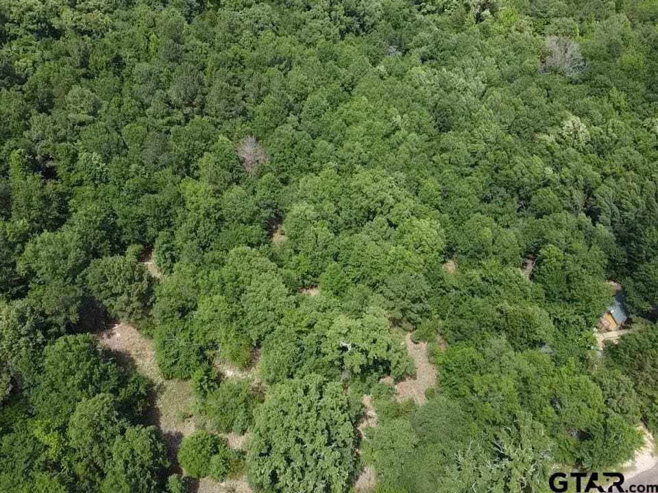 2.01 acres in Wood County - photo 9